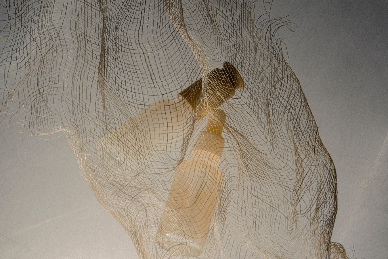 a close-up of a fish net hanging from the ceiling